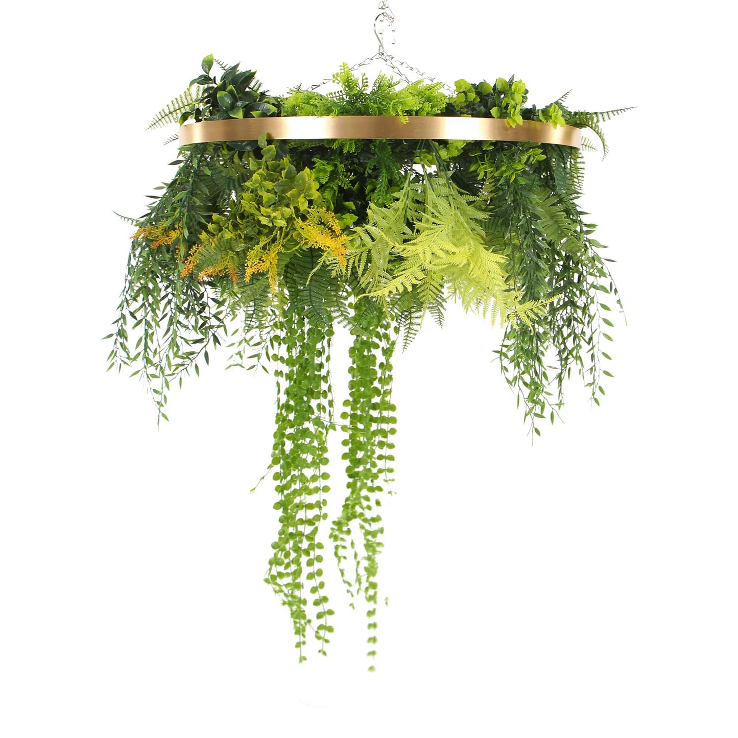 Imitation Premium Gold Artificial Hanging Green Wall Disc 60cm (Limited Edition)-2