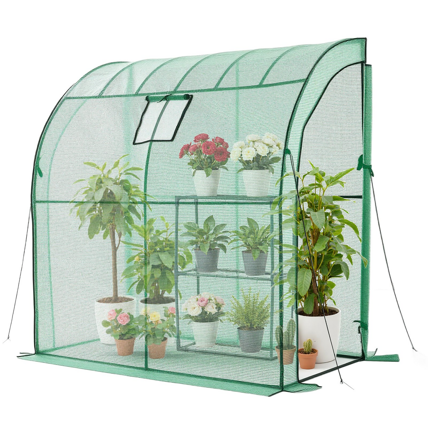 79813972