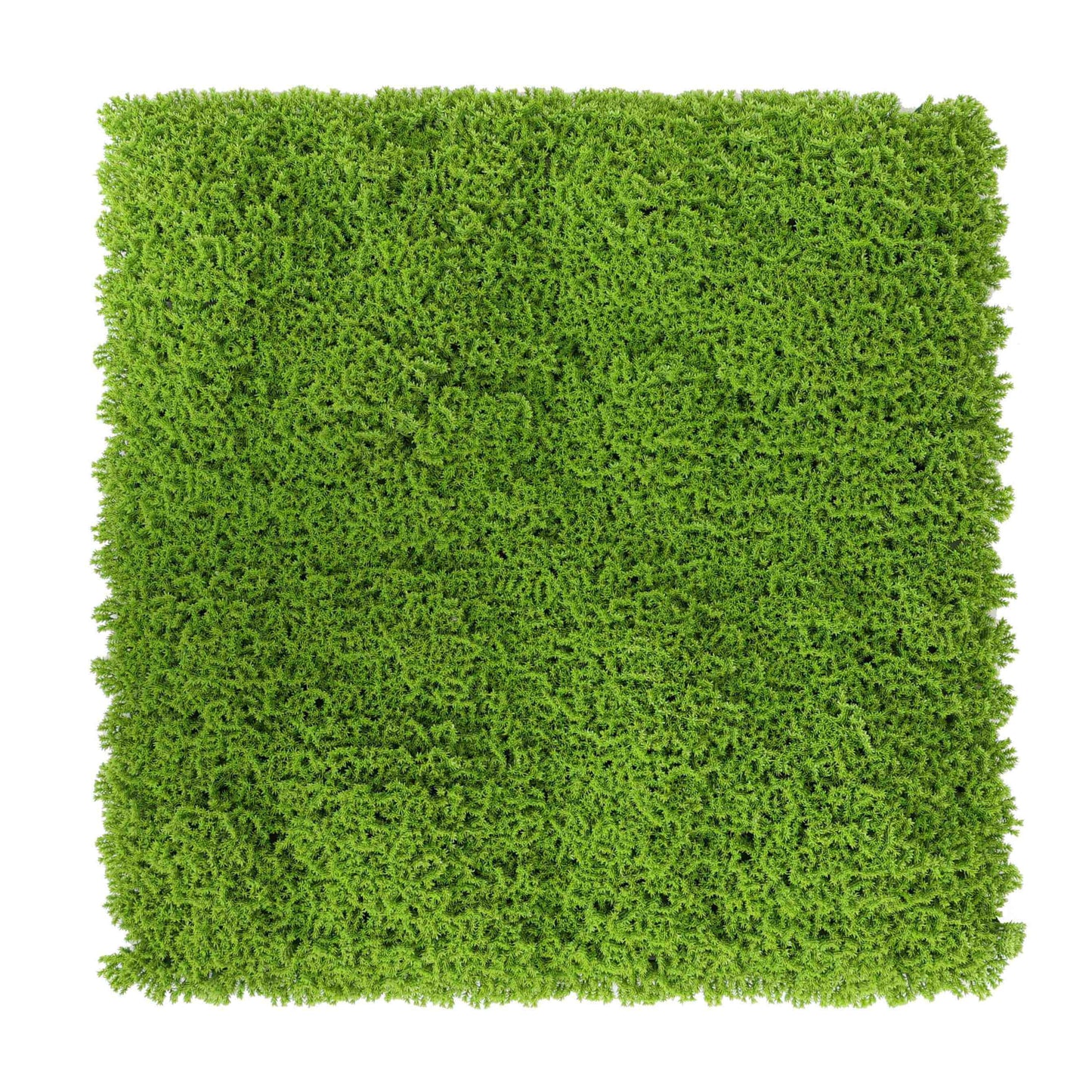 Faux Evergreen Moss Mat 40" x 20" 5.5 SQFT UV Resistant Commercial Grade UV Resistant-0