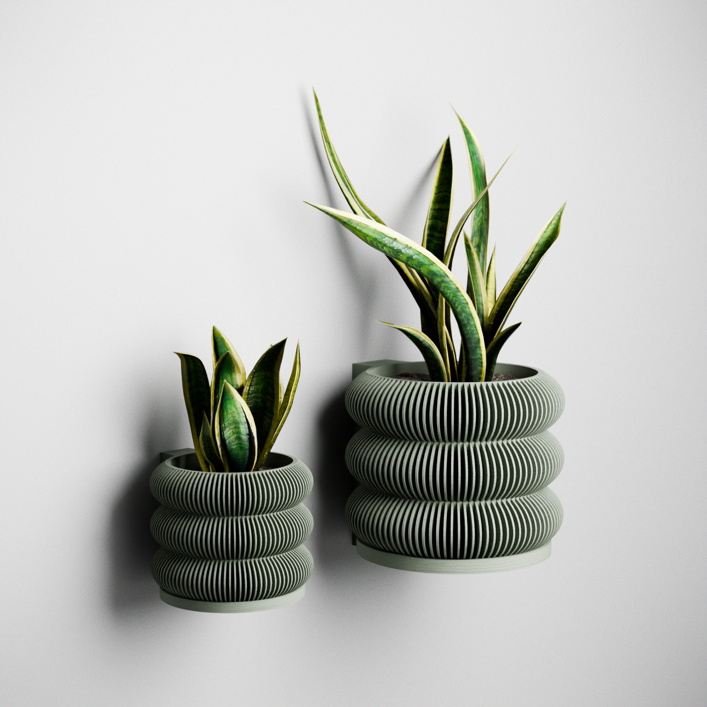 Wall Planter - BUBBLES-3