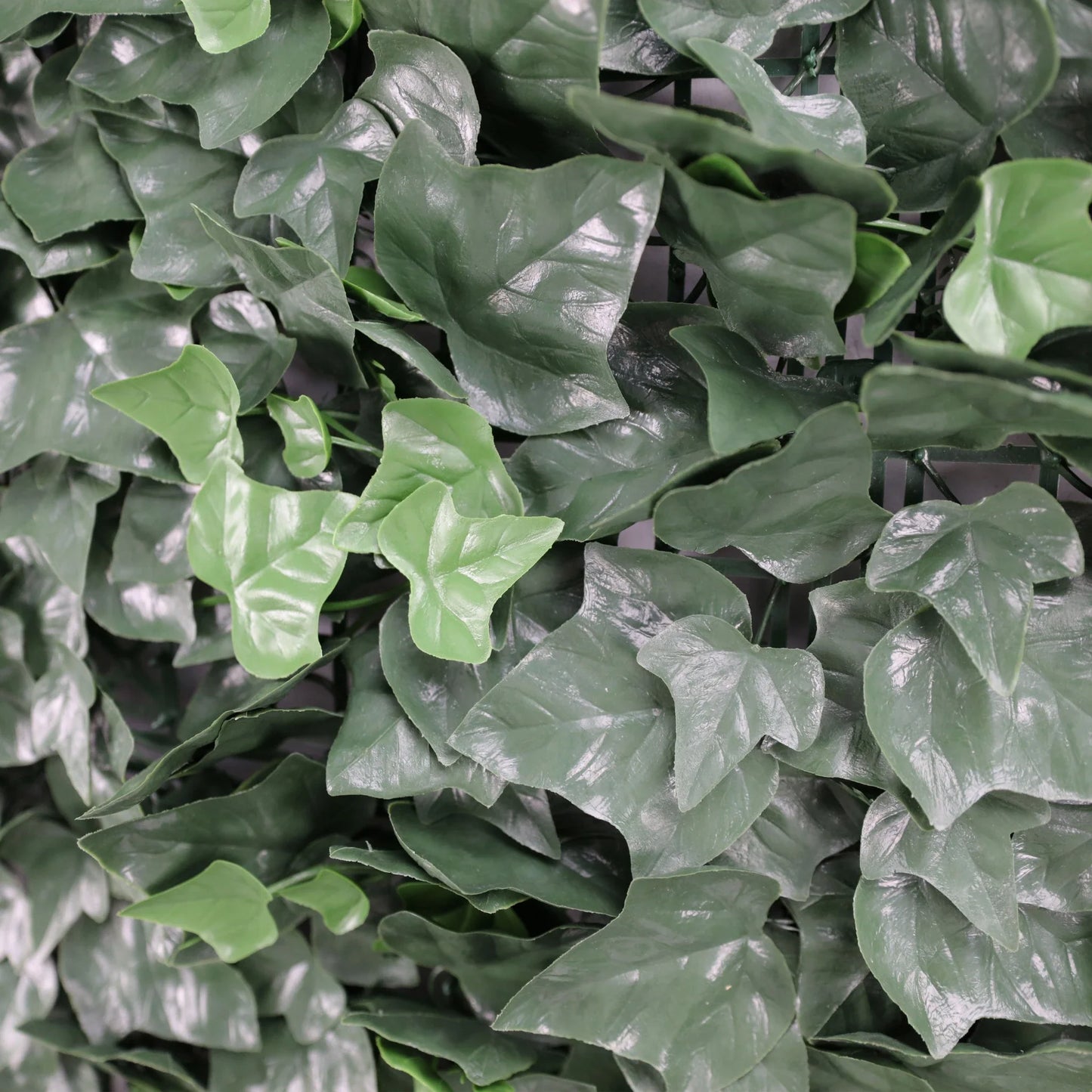 Artificial Boston Ivy Green Wall 33SQ FT Commercial Grade UV Resistant-4