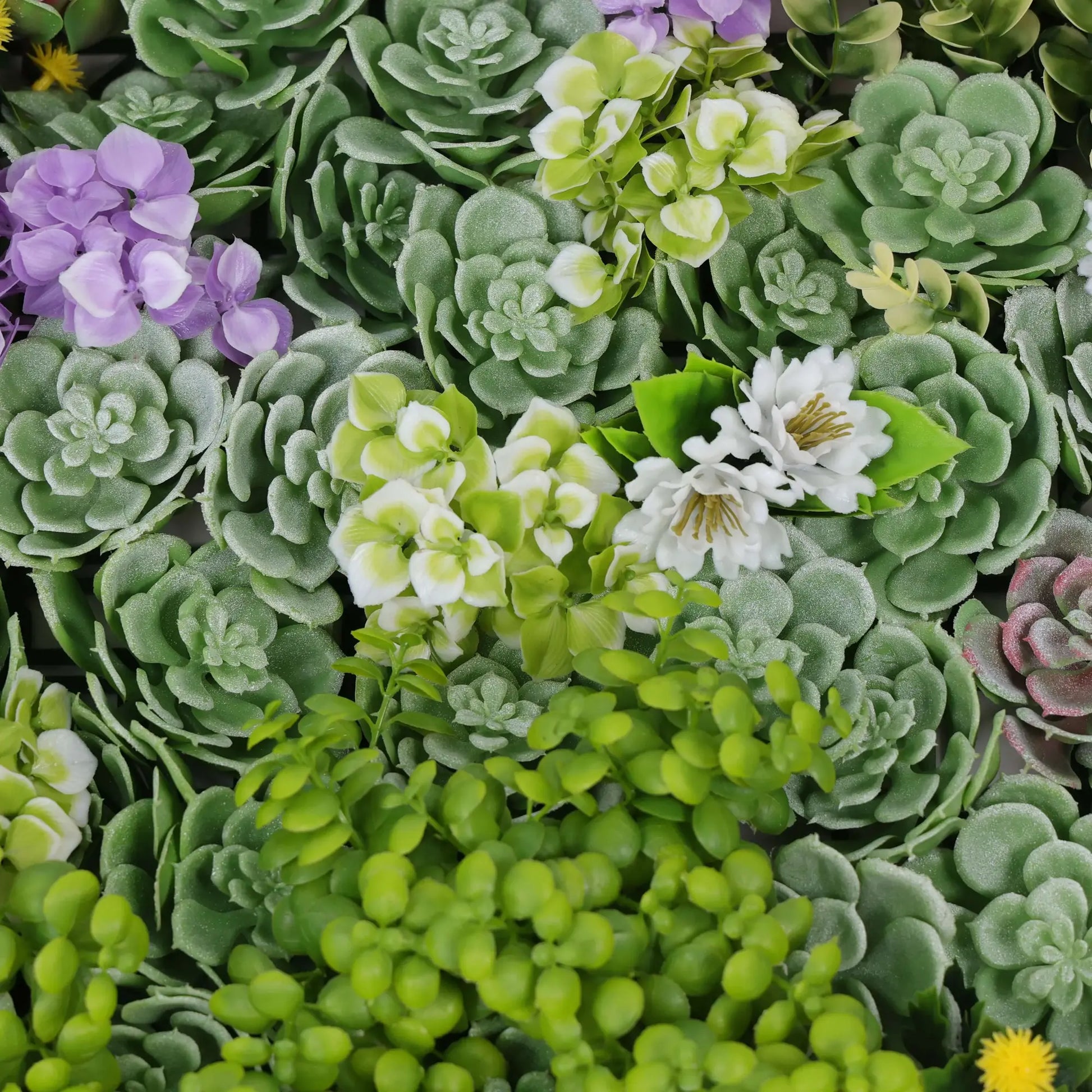 Artificial Dense Succulent Green Wall / Vertical Garden Panel 20" x 20" UV Resistant-4