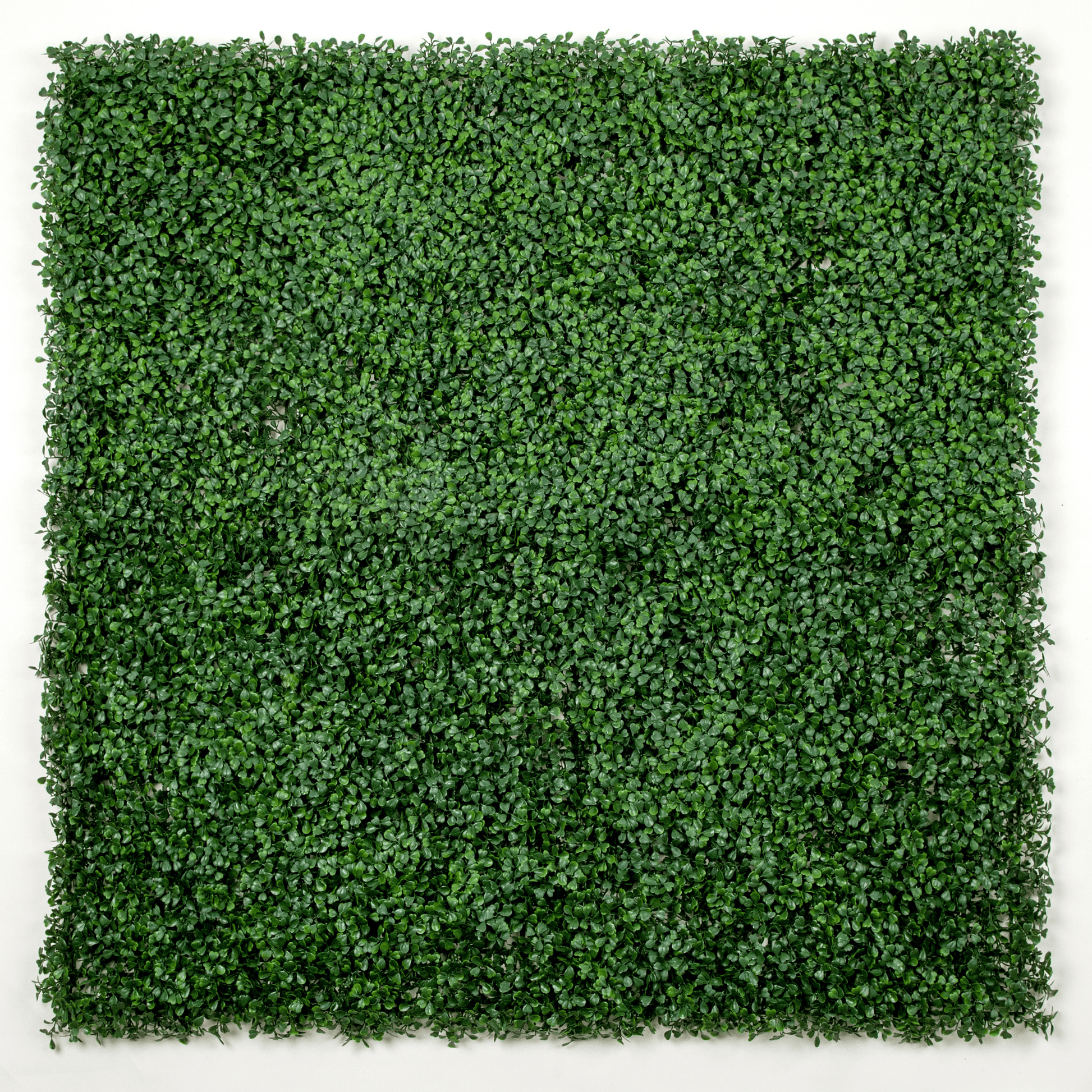 Dark Artificial Boxwood Wall 40" x 40" 11SQ FT Commercial Grade UV Resistant-0