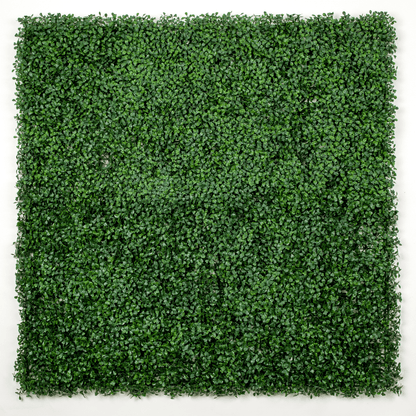 Dark Artificial Boxwood Wall 40" x 40" 11SQ FT Commercial Grade UV Resistant-0