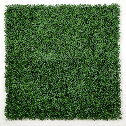 Dark Artificial Boxwood Wall 40" x 40" 11SQ FT Commercial Grade UV Resistant-0