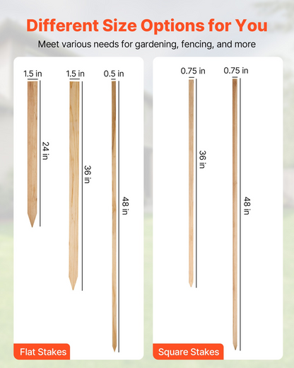 79176930