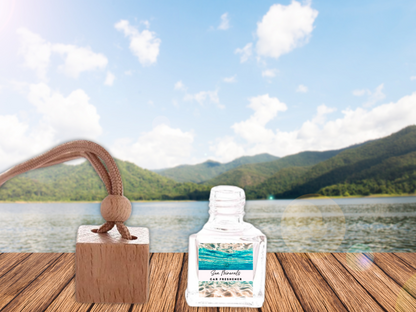 79131251