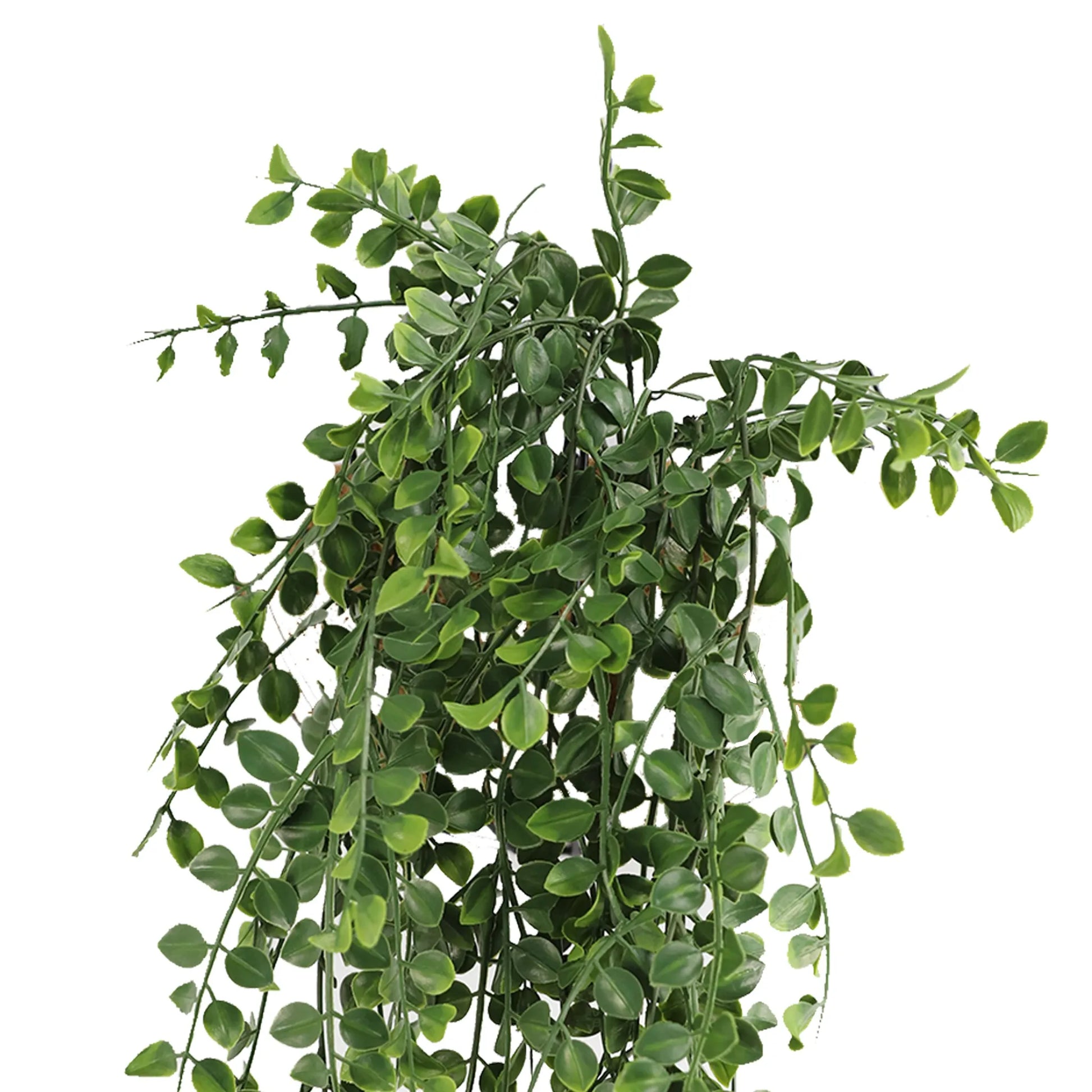 Artificial Hanging Pearls Garland Bushes – Dark Green UV Resistant & Fire Rated | 7.8in x 31in (20cm x 79cm Each)-2