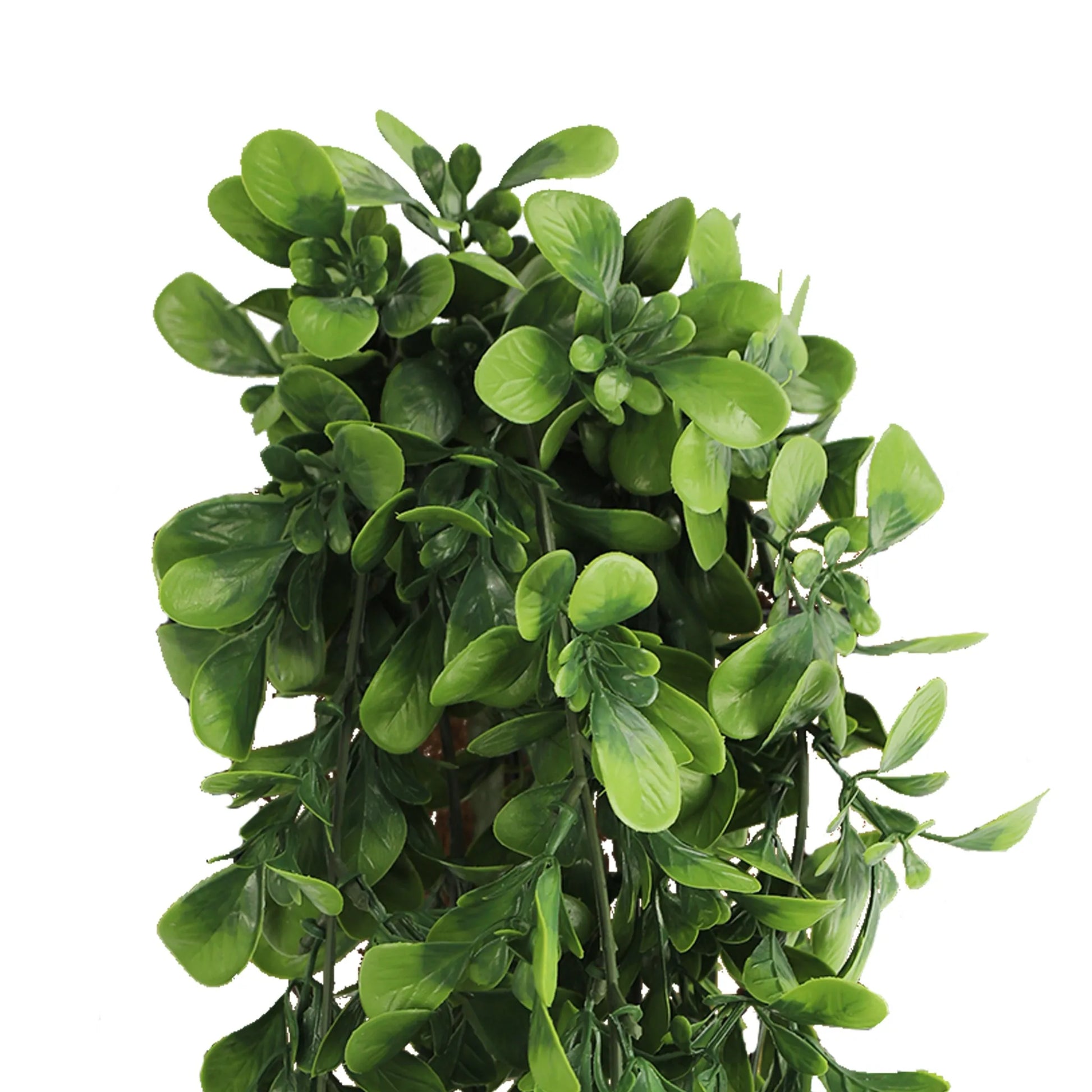 Artificial Creeping Fig Garland Bushes (UV Resistant & Fire Rated | 7.1in x 30in | 18cm x 76cm Each)-2