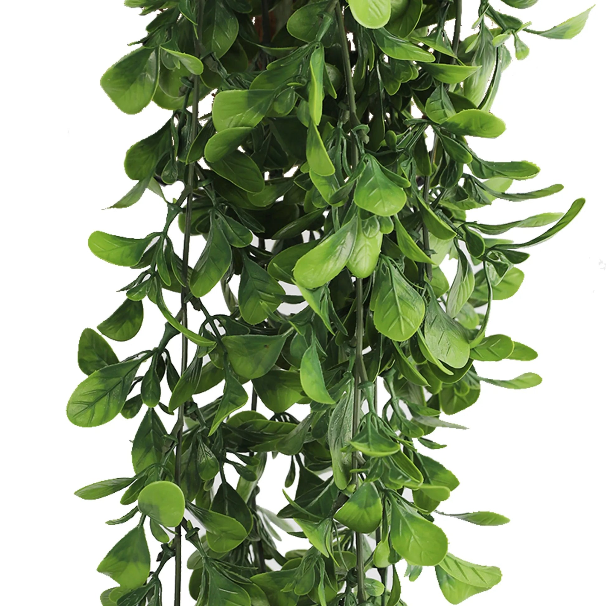 Artificial Creeping Fig Garland Bushes (UV Resistant & Fire Rated | 7.1in x 30in | 18cm x 76cm Each)-3
