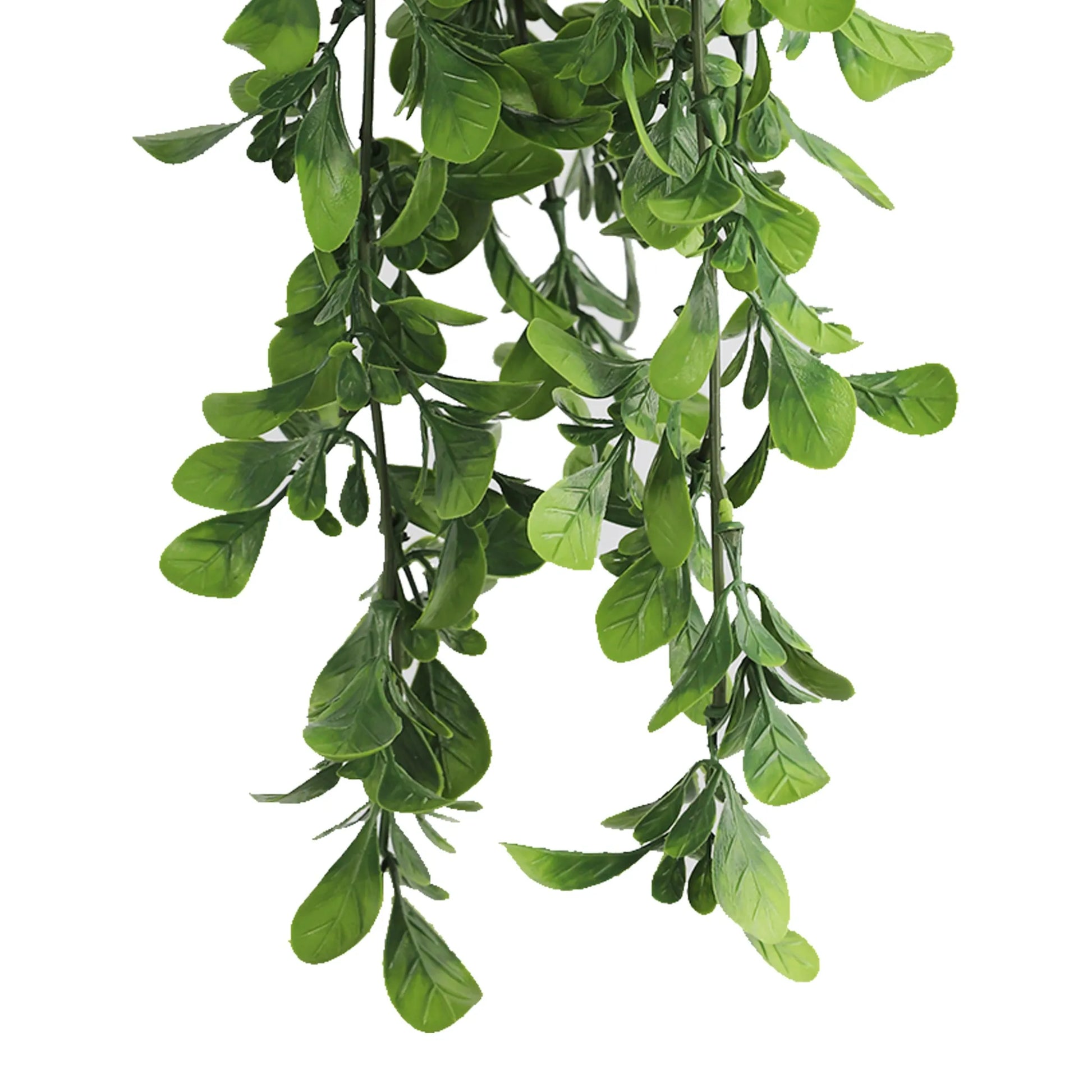 Artificial Creeping Fig Garland Bushes (UV Resistant & Fire Rated | 7.1in x 30in | 18cm x 76cm Each)-4