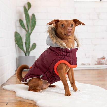 Stay Warm and Stylish with the Winter Sailor Parka - Burgundy