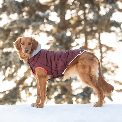 Stay Warm and Stylish with the Winter Sailor Parka - Burgundy