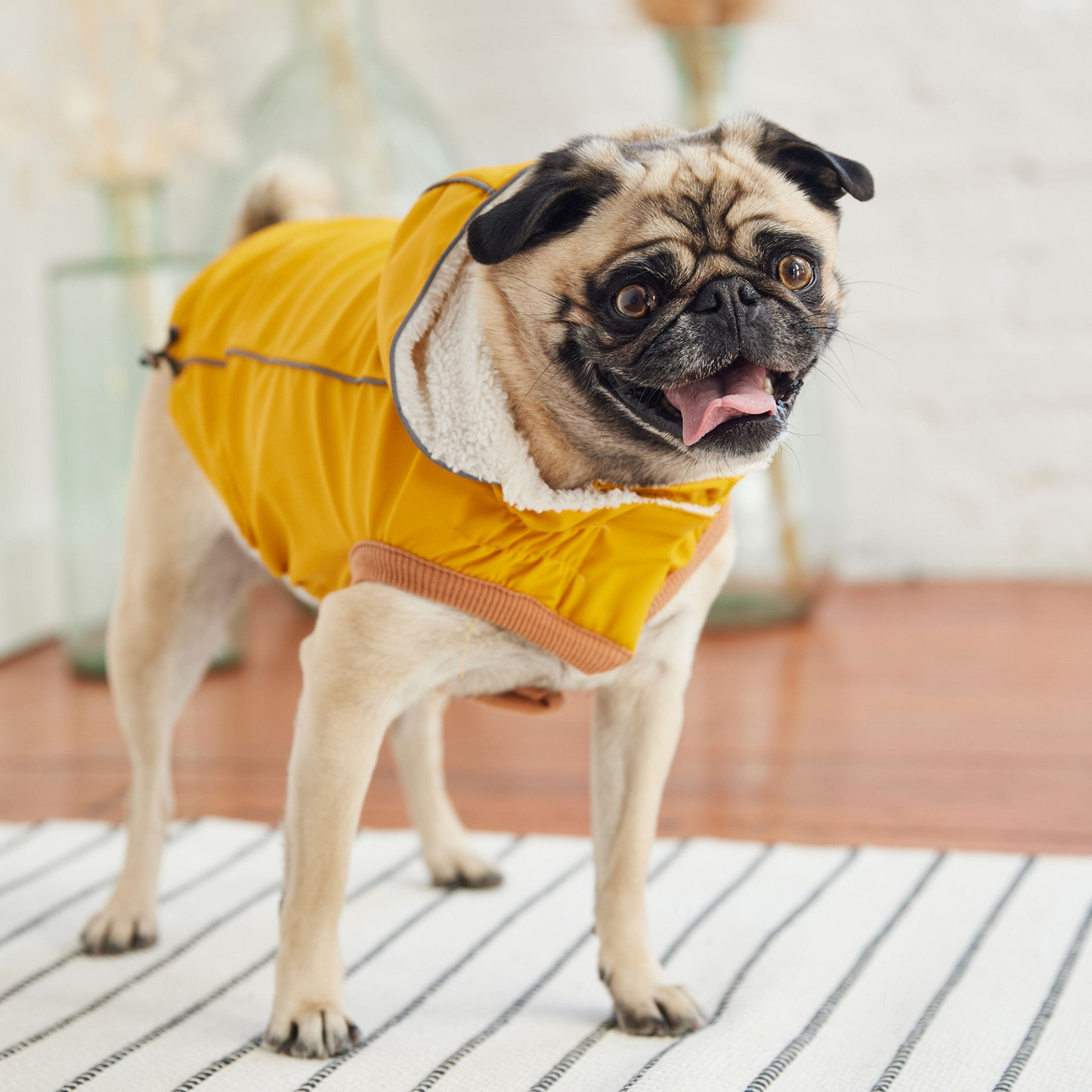 Insulated Raincoat - Yellow | Waterproof & Warm Dog Coat