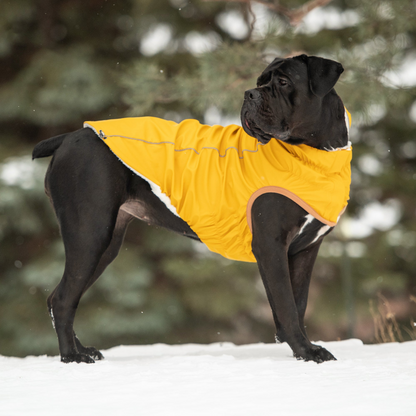 Insulated Raincoat - Yellow | Waterproof & Warm Dog Coat