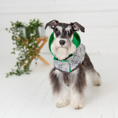 Reversible Elasto-Fit Raincoat - Green | Stylish and Waterproof Dog Raincoat with Hood