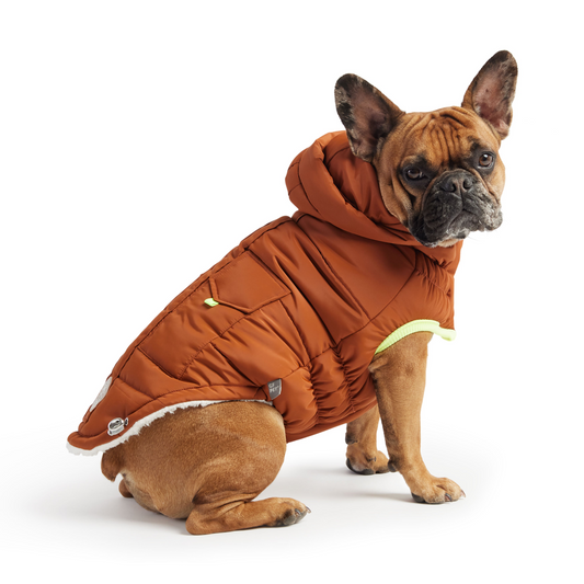 GF PET Elasto-FIT Super Puff Parka - Hazel: Snuggly Warm and Luxuriously Gorgeous