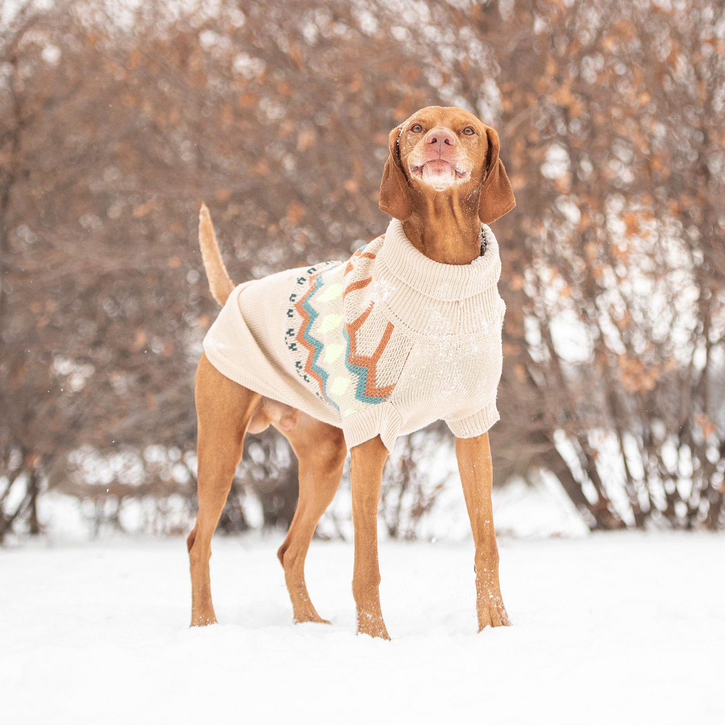 GF PET Heritage Sweater - Sand | Warm Vintage Design | Unisex Fit