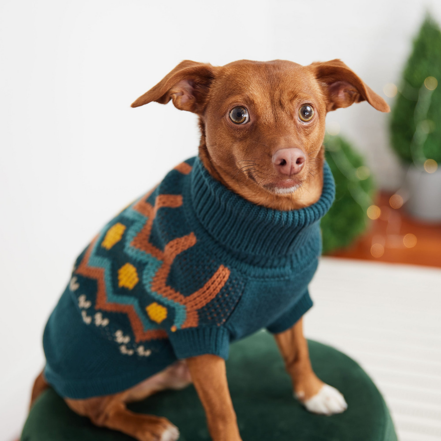 GF PET Heritage Sweater - Teal | Vintage Design, Unisex Fit, Comfortable Turtleneck