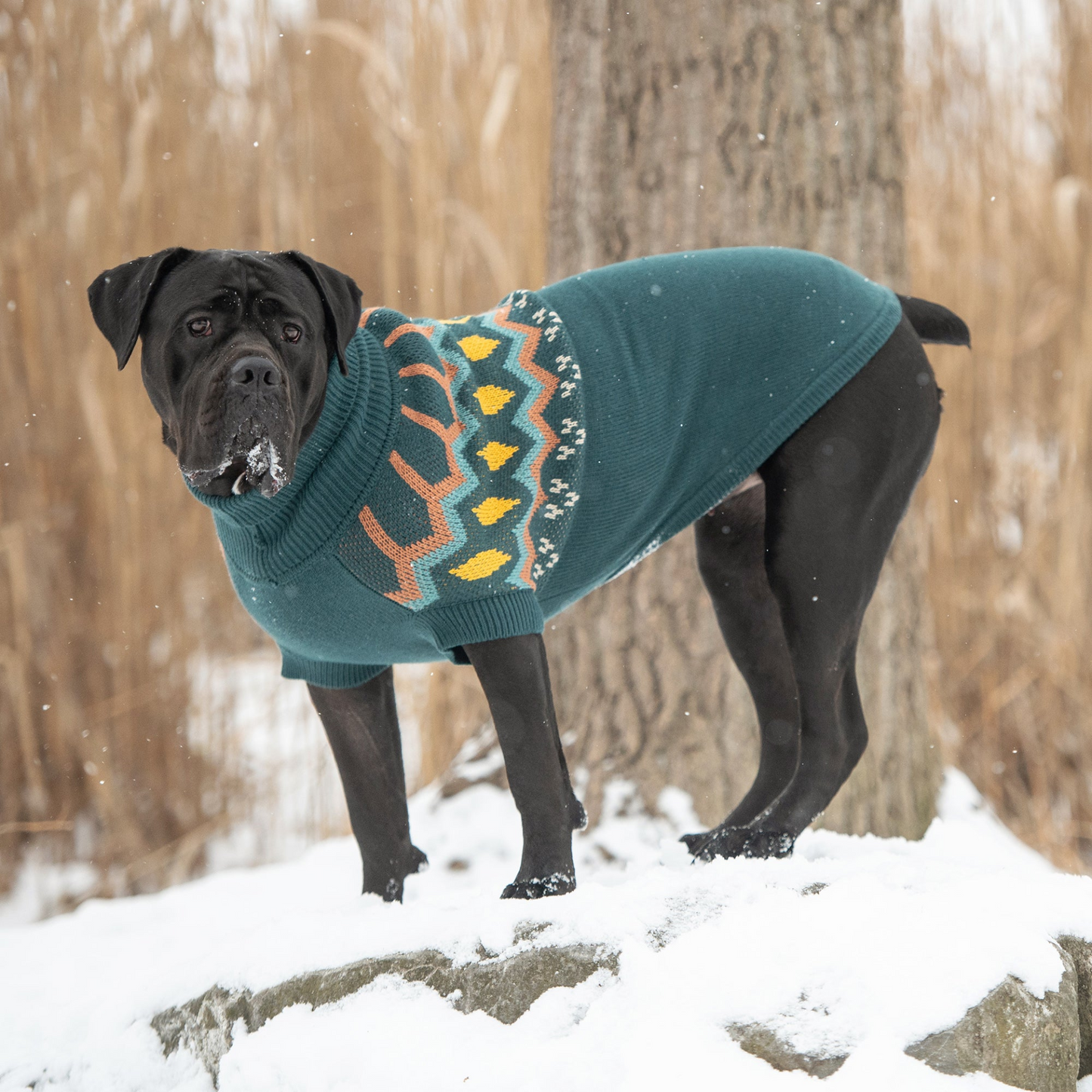 GF PET Heritage Sweater - Teal | Vintage Design, Unisex Fit, Comfortable Turtleneck