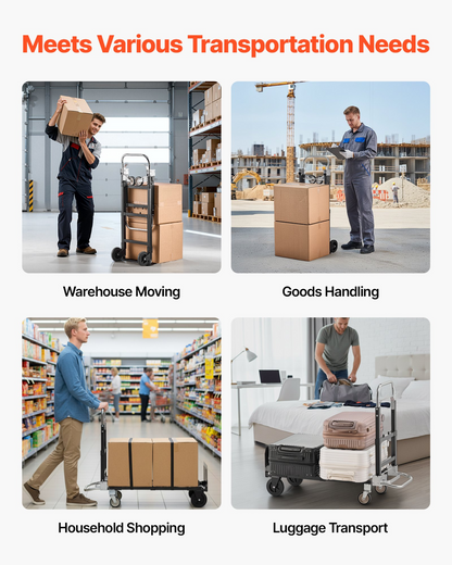 79019695