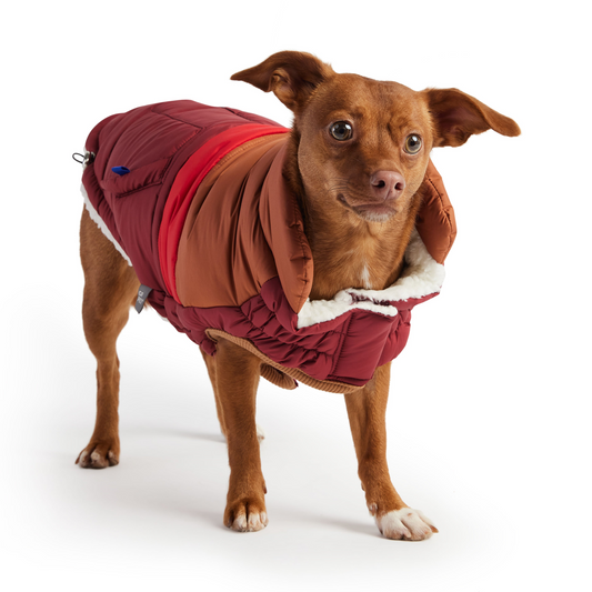 Retro Puffer - Dark Red | Fashionable and Warm Dog Coat