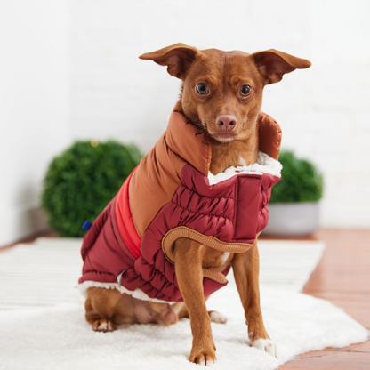 Retro Puffer - Dark Red | Fashionable and Warm Dog Coat