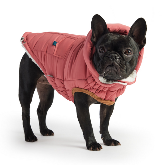 GF PET Elasto-FIT Super Puff Parka - Pink | Water Repellent and Snuggly Warm