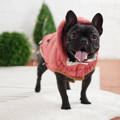 GF PET Elasto-FIT Super Puff Parka - Pink | Water Repellent and Snuggly Warm