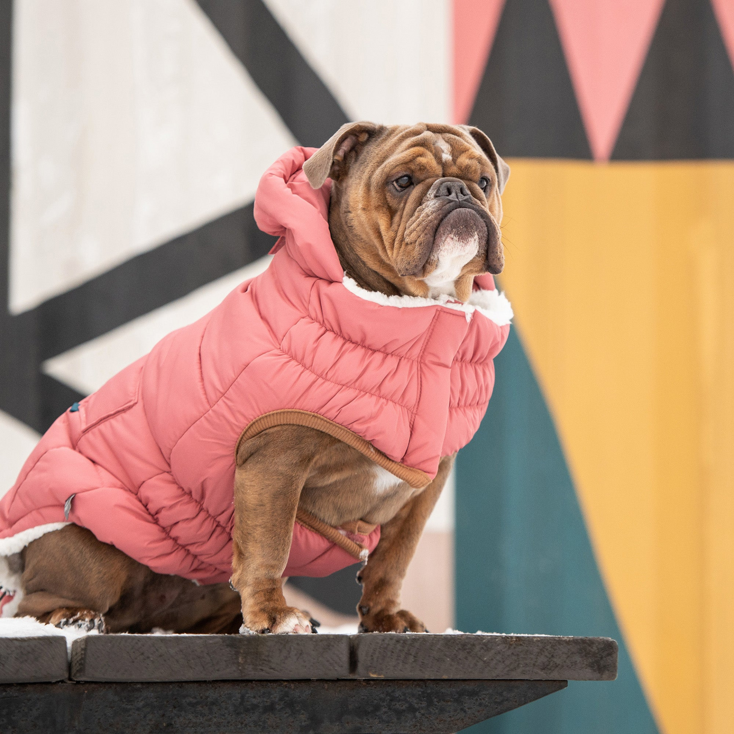 GF PET Elasto-FIT Super Puff Parka - Pink | Water Repellent and Snuggly Warm