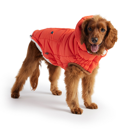 GF PET Elasto-FIT Super Puff Parka - Orange | Warm and Stylish Dog Coat