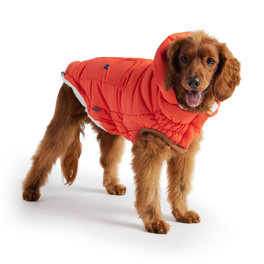 GF PET Elasto-FIT Super Puff Parka - Orange | Warm & Stylish Dog Coat for Ultimate Comfort