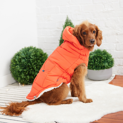 GF PET Elasto-FIT Super Puff Parka - Orange | Warm and Stylish Dog Coat