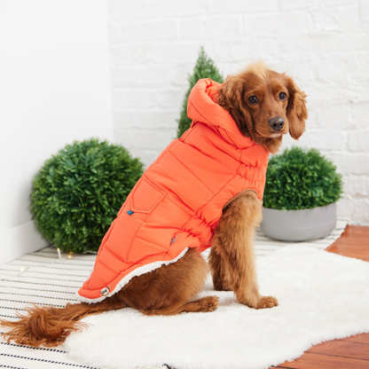 GF PET Elasto-FIT Super Puff Parka - Orange | Warm & Stylish Dog Coat for Ultimate Comfort