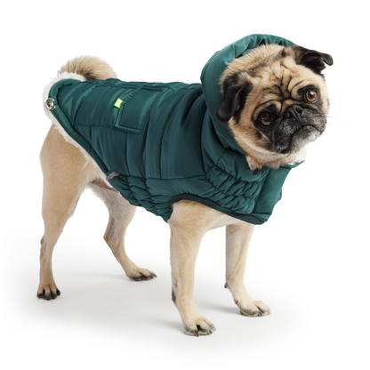 GF PET Super Puff Parka - Teal: Snuggly Warm and Stylish Dog Jacket