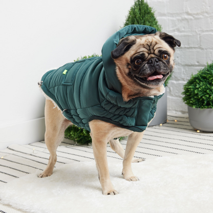 GF PET Super Puff Parka - Teal: Snuggly Warm and Stylish Dog Jacket