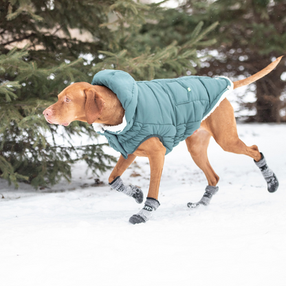 GF PET Super Puff Parka - Teal: Snuggly Warm and Stylish Dog Jacket