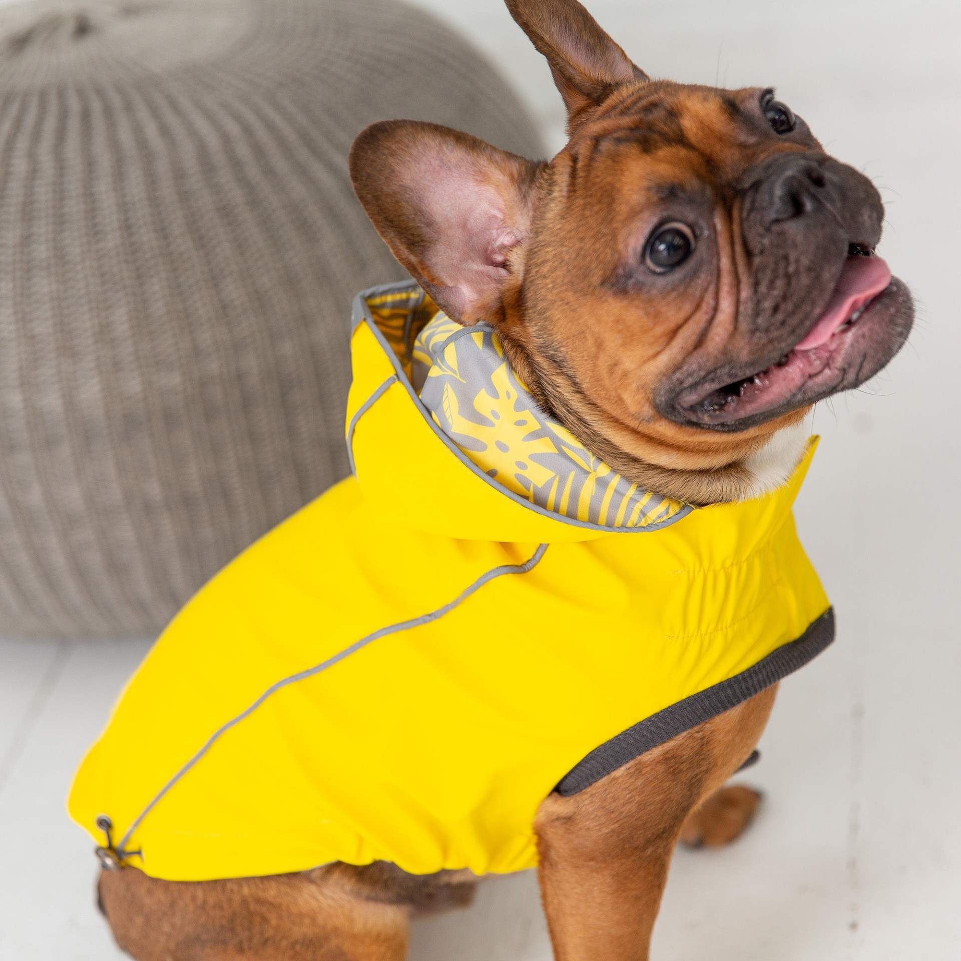 79151534