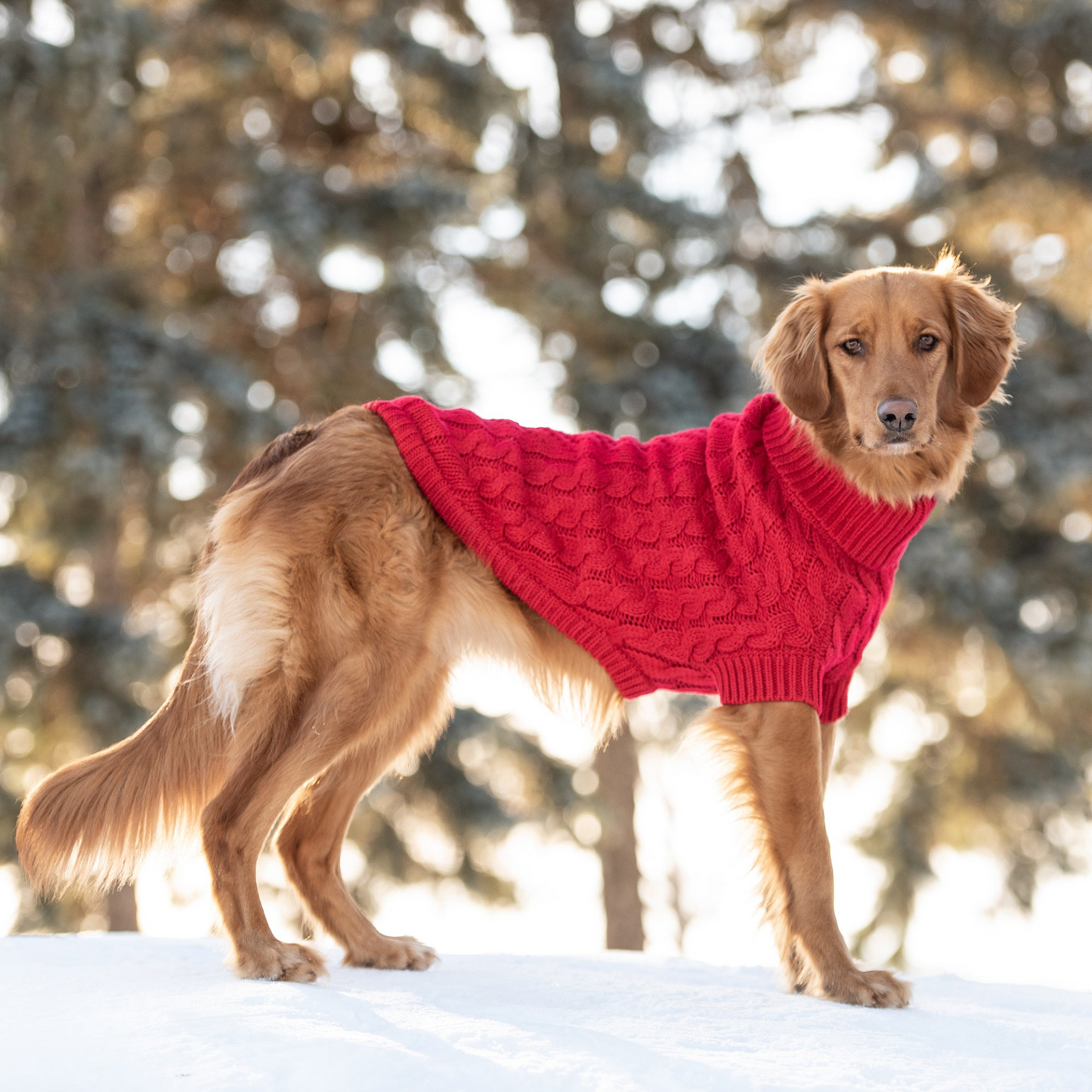 GF PET Chalet Sweater - Red | Chunky and Snuggly Dog Sweater