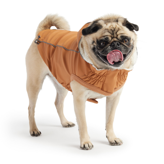 Insulated Raincoat - Hazel | Waterproof & Warm Dog Coat