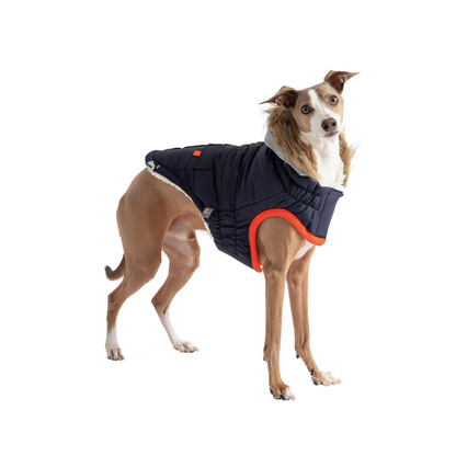 GF Pet Winter Sailor Parka - Navy | Warm and Fashionable Dog Jacket