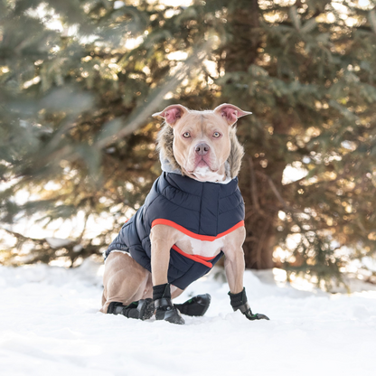 GF Pet Winter Sailor Parka - Navy | Warm Dog Jacket with Vegan Fur-Lined Hood, Water-Repellent & Adjustable Fit