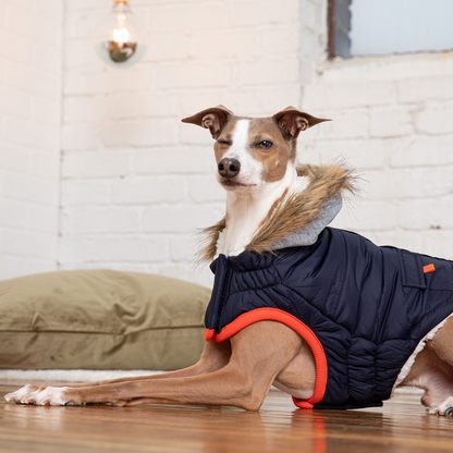 GF Pet Winter Sailor Parka - Navy | Warm Dog Jacket with Vegan Fur-Lined Hood, Water-Repellent & Adjustable Fit