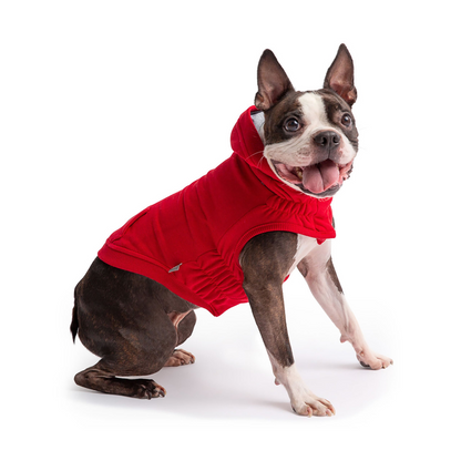 GF PET Urban Hoodie - Red | Coolest Hoodie for Your Dog