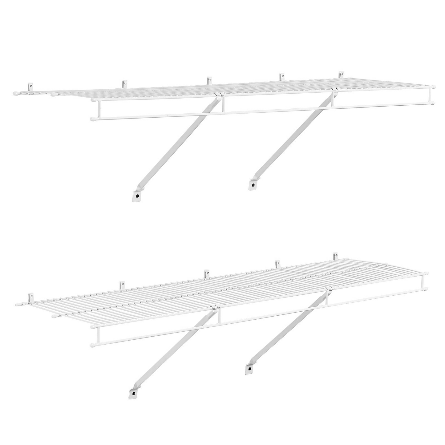 79019611