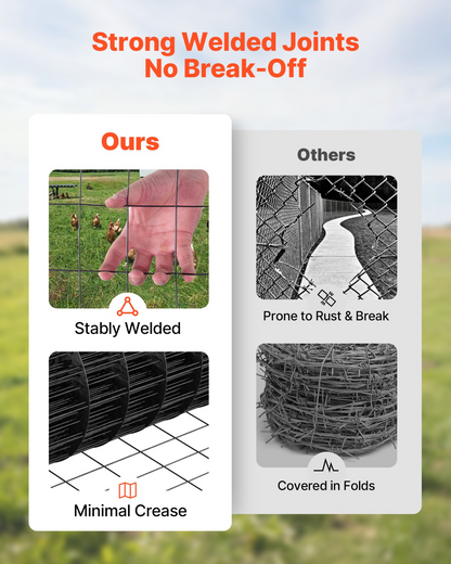 79019411