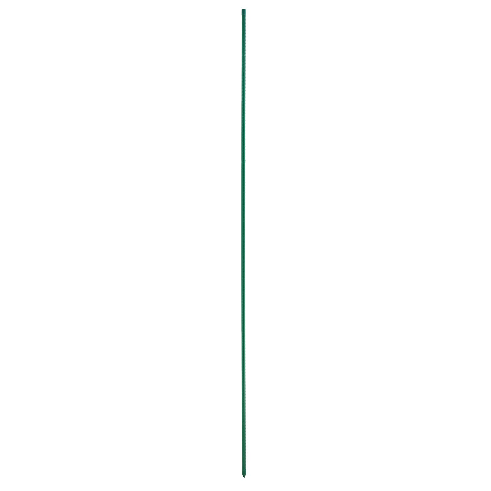79018874