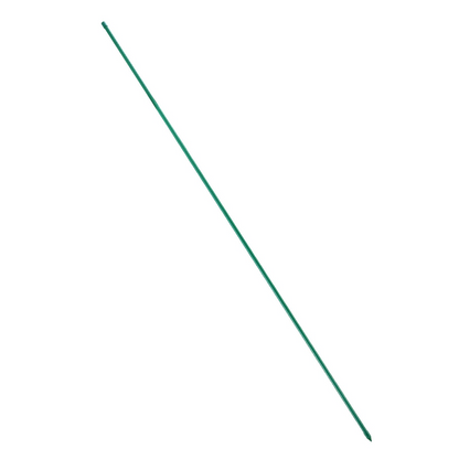 79018875