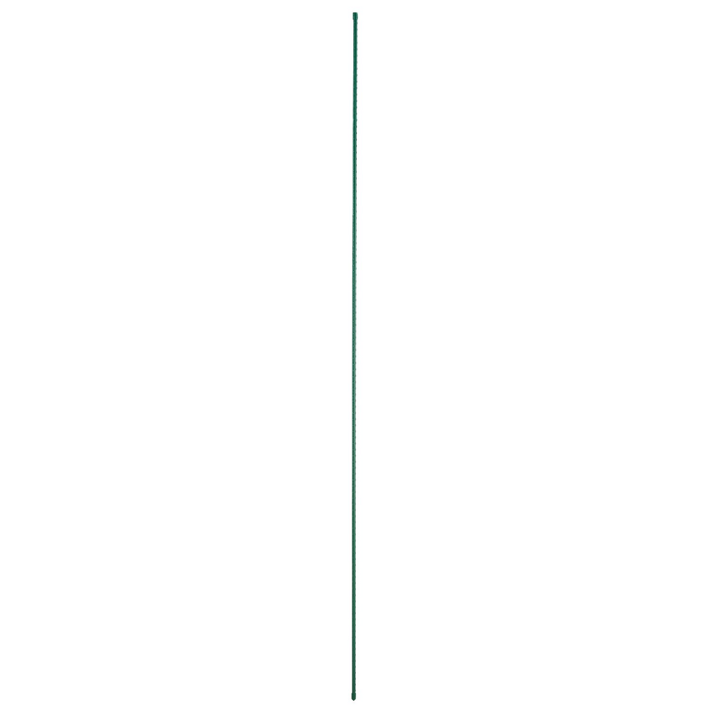 79018864