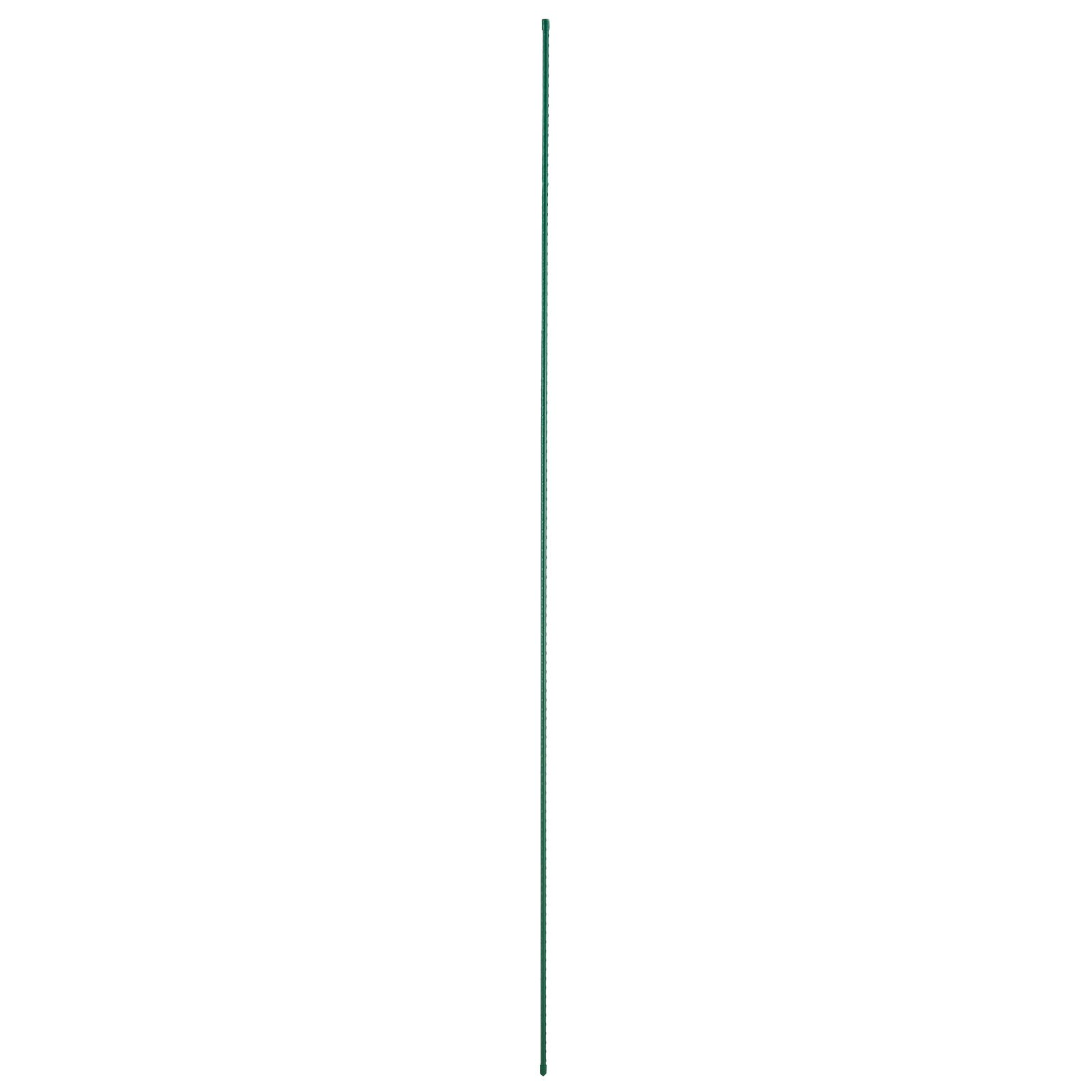 79018864